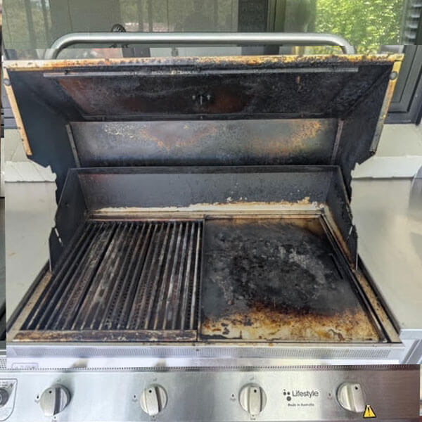 bbq-before